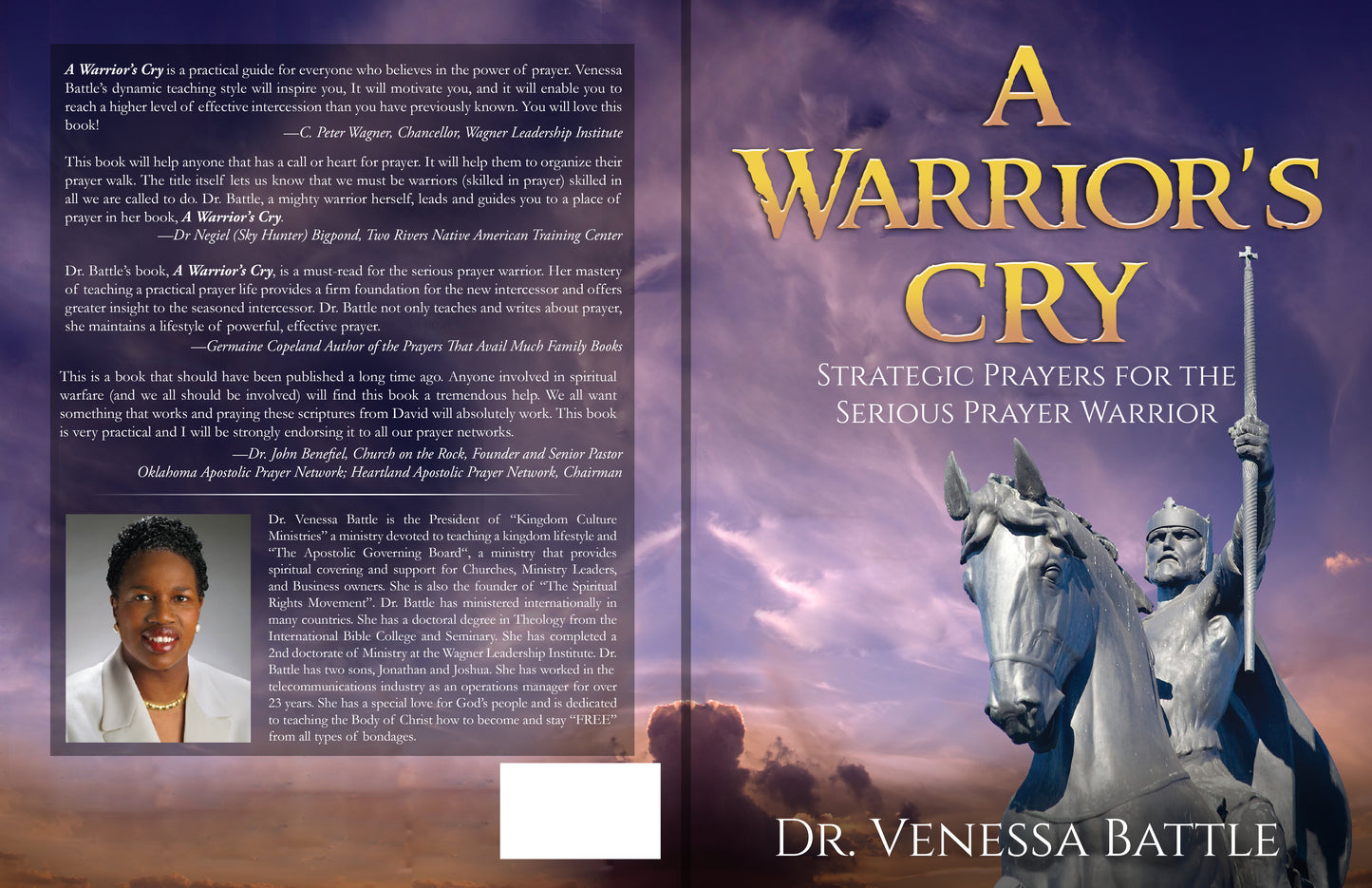 A Warriors Cry